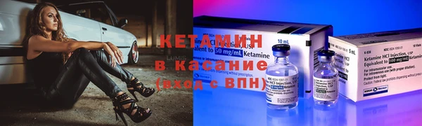 твердый Михайлов