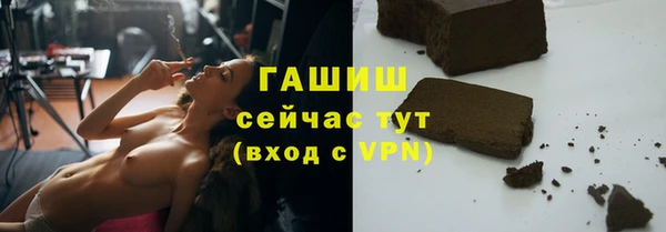 гидра Михайловка