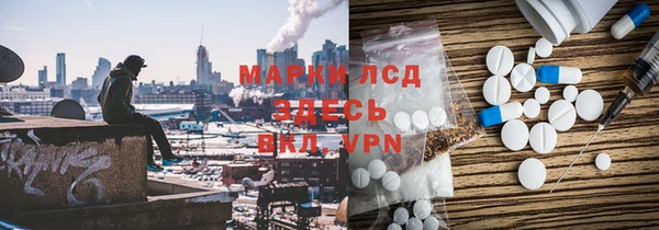 сатива Медногорск