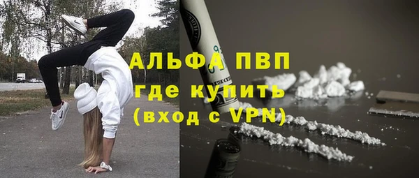 гидра Михайловка